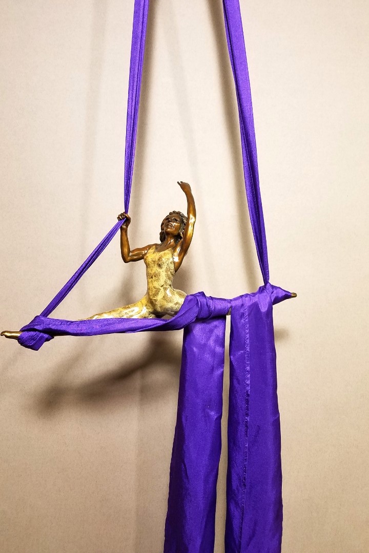 Click to view detail for FL120 Aerial Silks - Purple $675
